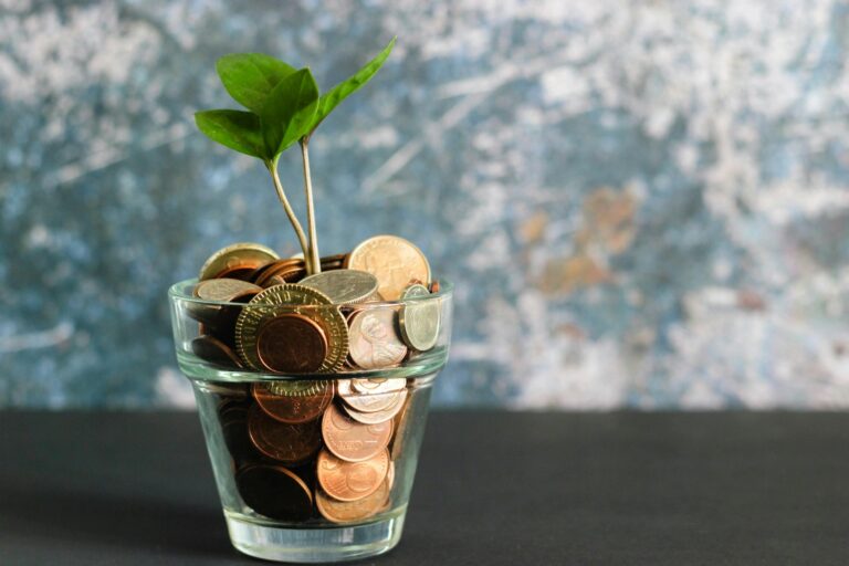 Selbstständig werden: Warum deine privaten Finanzen genauso einen Plan brauchen wie dein Business green plant in clear glass vase